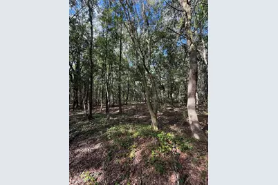 1166 Honeytree Street, Bunnell, FL 32110 - Photo 8