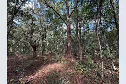 1166 Honeytree Street, Bunnell, FL 32110 - Photo 2
