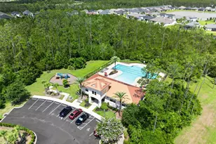 161 S Coopers Hawk Way, Palm Coast, FL 32164 - Photo 54