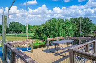 1151 Winter Green St, Lake Placid, FL 33852 - Photo 66
