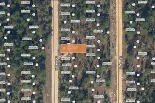 Xx Houston St, Interlachen, FL 32148 - Photo 1