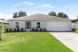 247 Bird of Paradise Dr, Palm Coast, FL 32137 - Photo 1