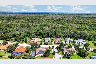 36 New Water Oak Drive, Palm Coast, FL 32137 - Photo 56