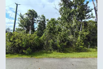 1 Kalmar Place, Palm Coast, FL 32164 - Photo 2