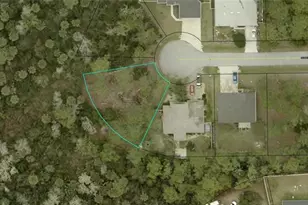 21 Seckel Ct, Palm Coast, FL 32164 - Photo 1
