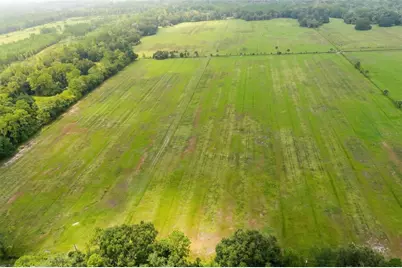 4 County Road 140, Bunnell, FL 32110 - Photo 2