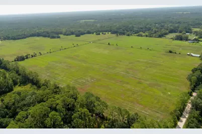 5 County Road 140, Bunnell, FL 32110 - Photo 2