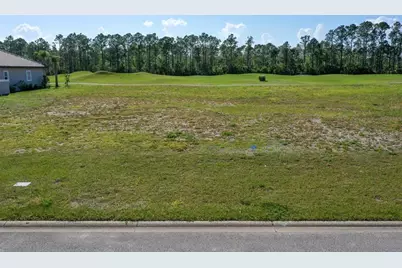 406 Bourganville Drive, Palm Coast, FL 32137 - Photo 24