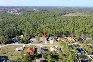 31 Seattle Trail, Palm Coast, FL 32164 - Photo 44