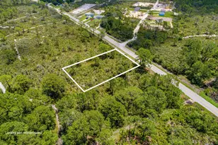 652 Hallmark Ave, Lake Placid, FL 33852 - Photo 1