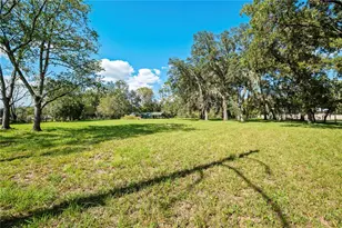 4145 Appaloosa Rd, Middleburg, FL 32068 - Photo 60