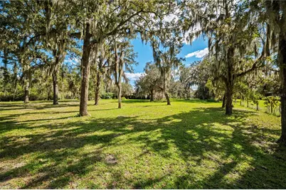4145 Appaloosa Road, Middleburg, FL 32068 - Photo 8