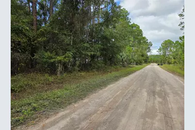 2096 Orange Street, Bunnell, FL 32110 - Photo 4