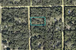 2075 Bayberry St, Bunnell, FL 32110 - Photo 1