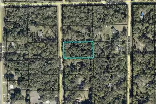 2107 Bayberry St, Bunnell, FL 32110 - Photo 1