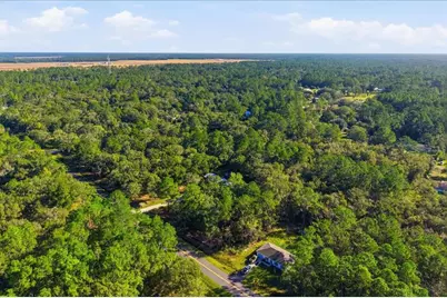 9860 Nikolich Avenue, Hastings, FL 32145 - Photo 38