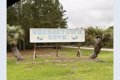 101 Mimosa Street, Georgetown, FL 32139 - Photo 10