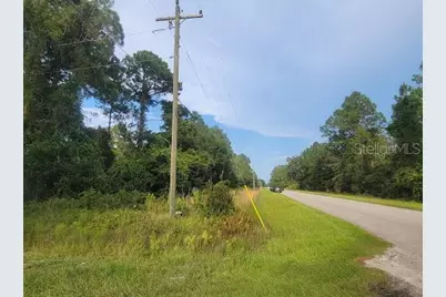 101 Mimosa Street, Georgetown, FL 32139 - Photo 6