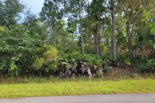 101 Mimosa St, Georgetown, FL 32139 - Photo 1