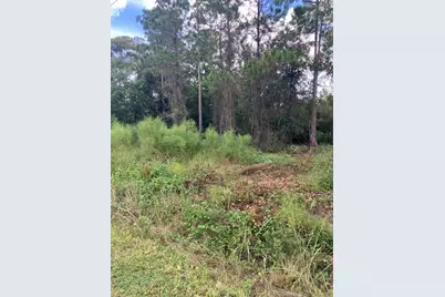 1881 Hazelnut Street, Bunnell, FL 32110 - Photo 4
