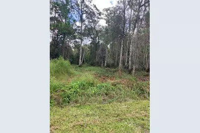 1881 Hazelnut Street, Bunnell, FL 32110 - Photo 2