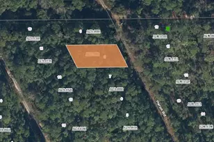 203 Heron Rd, Satsuma, FL 32189 - Photo 1