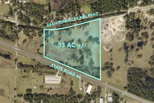 1315 Sr 44, Leesburg, FL 34748 - Photo 1