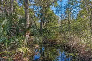 13524 Corkwood Ln, Astatula, FL 34705 - Photo 2