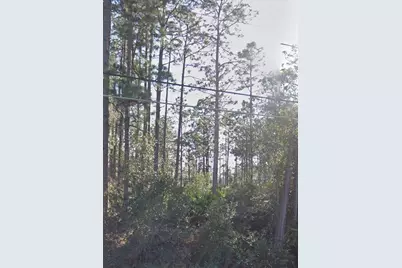 Ralston Street, Orlando, FL 32833 - Photo 2