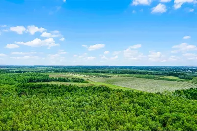 S Boggy Marsh Road, Clermont, FL 34711 - Photo 10