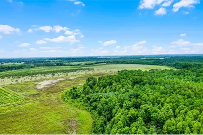 S Boggy Marsh Road, Clermont, FL 34711 - Photo 14