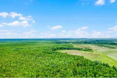 S Boggy Marsh Road, Clermont, FL 34711 - Photo 22
