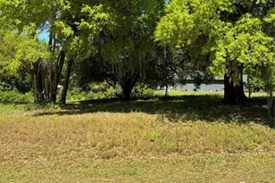 Oak Pointe Dr, Lady Lake, FL 32159 - Photo 1