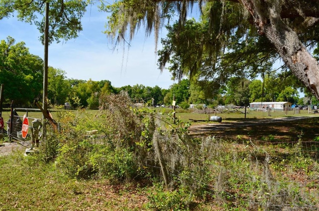 2607 140th St, Citra, FL 32113-3868