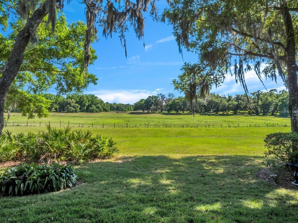 1238 Crown Isle Cir, Apopka, FL 32712-2913