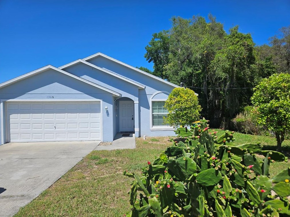 1369 E Mcdonald Ave, Eustis, FL 32726