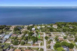 1004 Greenleaf Way, Tarpon Springs, FL 34689 - Photo 4