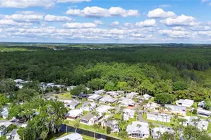 109 Shady Ln, Eustis, FL 32726 - Photo 38