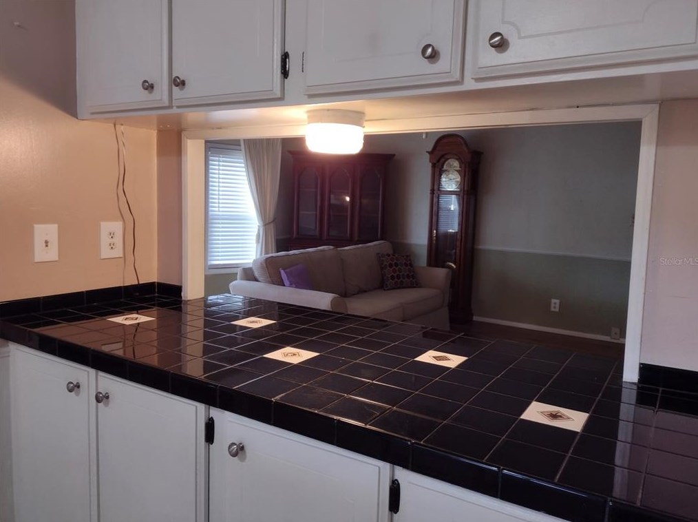 16674 102 Ave Rd, Summerfield FL  34491-8613 exterior