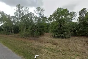 1007 Leroy Ave, Lehigh Acres, FL 33972 - Photo 1