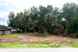 Lot 41 SE 81st Ct, Summerfield, FL 34491 - Photo 1