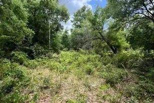 Tbd 170th SE Ave Rd, Ocklawaha, FL 32179 - Photo 1