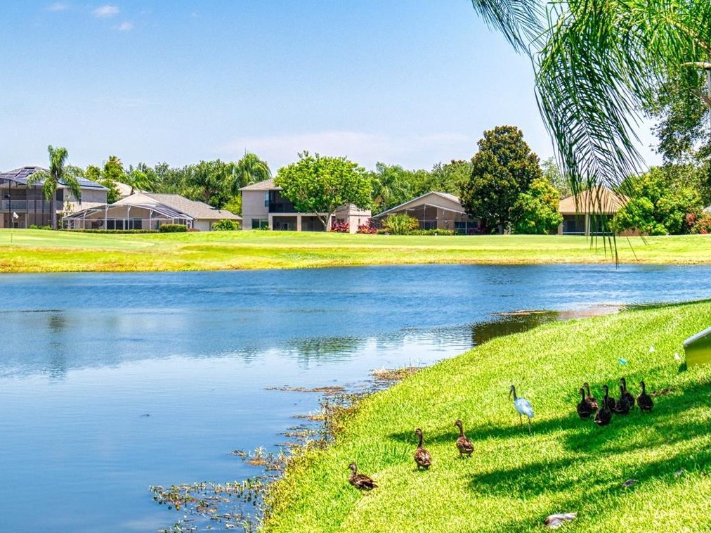 15507 Pebble Ridge St, Winter Garden FL  34787-4641 exterior