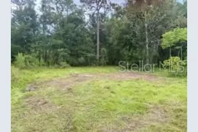 7435 W Lincoln Lane, Homosassa, FL 34448 - Photo 32