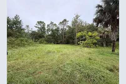 7435 W Lincoln Lane, Homosassa, FL 34448 - Photo 1