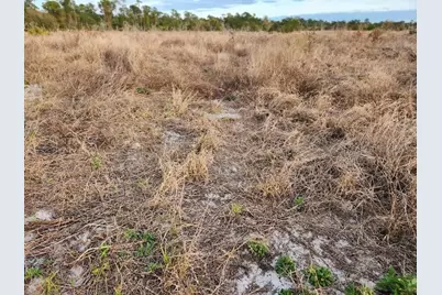 W Frostproof Road #Lot 10, Frostproof, FL 33843 - Photo 18