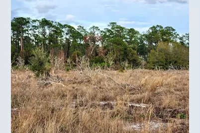W Frostproof Road #Lot 10, Frostproof, FL 33843 - Photo 10
