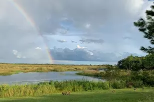 13910 Max Hooks Rd, Clermont, FL 34711 - Photo 68