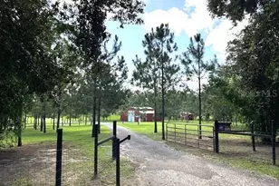 13910 Max Hooks Rd, Clermont, FL 34711 - Photo 78