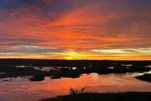 13910 Max Hooks Rd, Clermont, FL 34711 - Photo 62